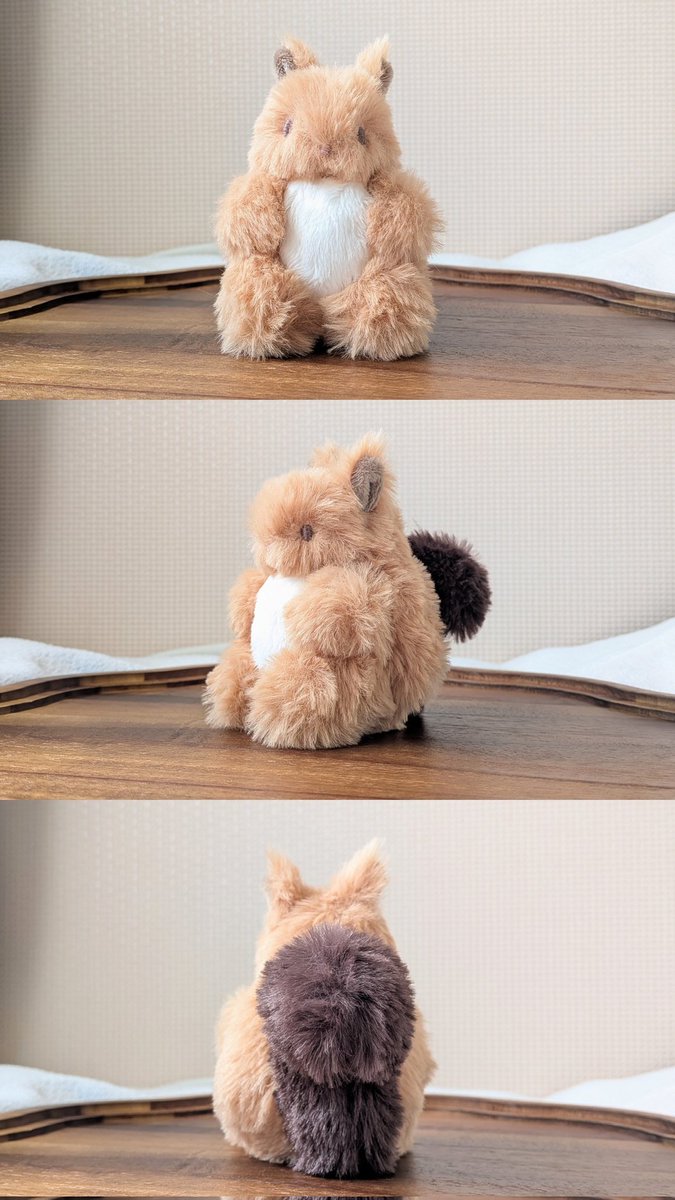 ふくふくなリスが生まれました🐿