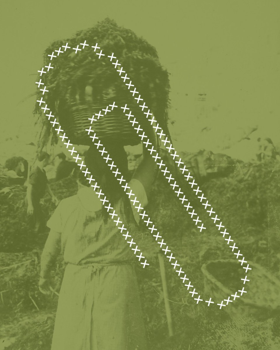 Concello do Rosal tweet media