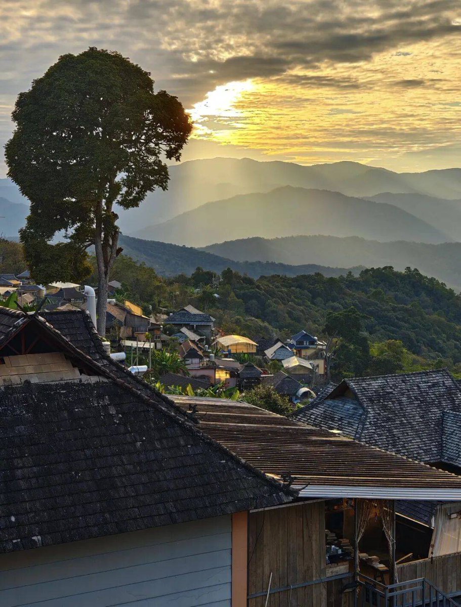 Diane Martinos tweet media