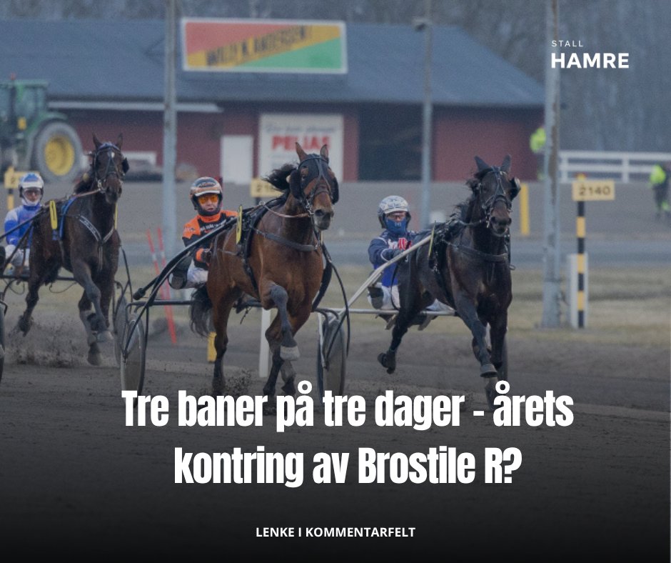 Stall Hamre tweet media