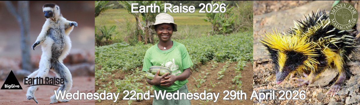 Money For Madagascar tweet media