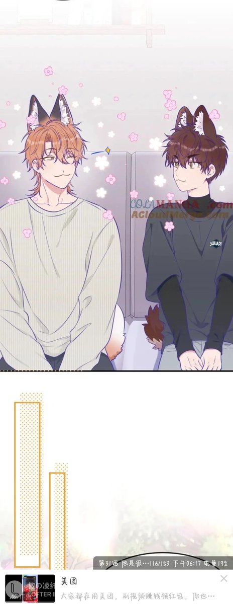 wim van hoorn tweet media