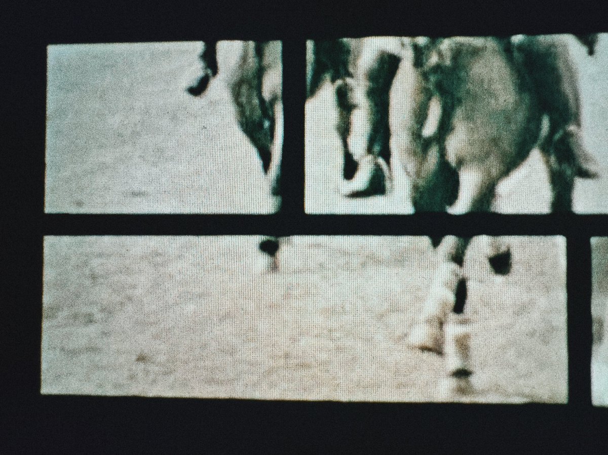 ZEESHAN NASIR tweet media