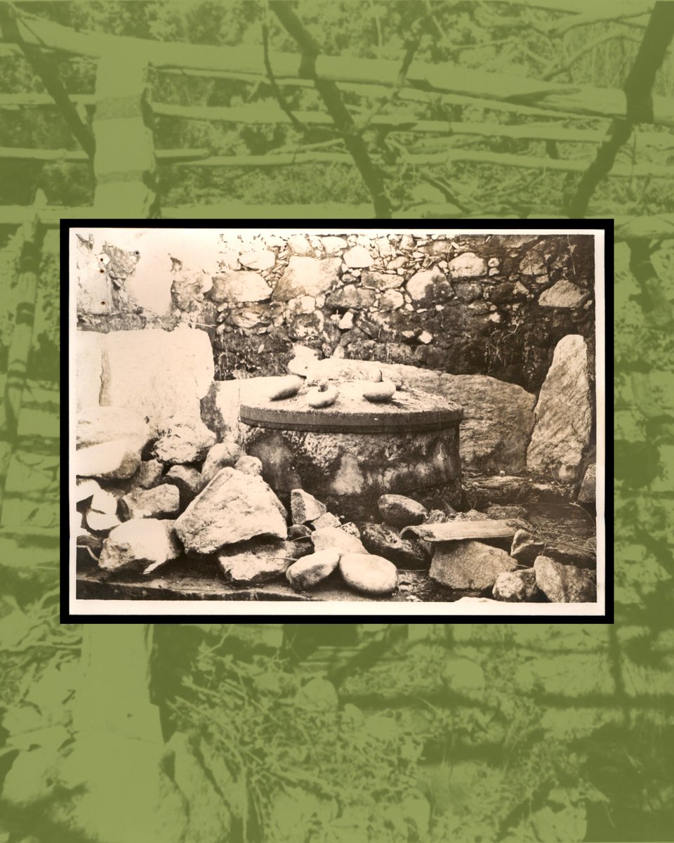 Concello do Rosal tweet media