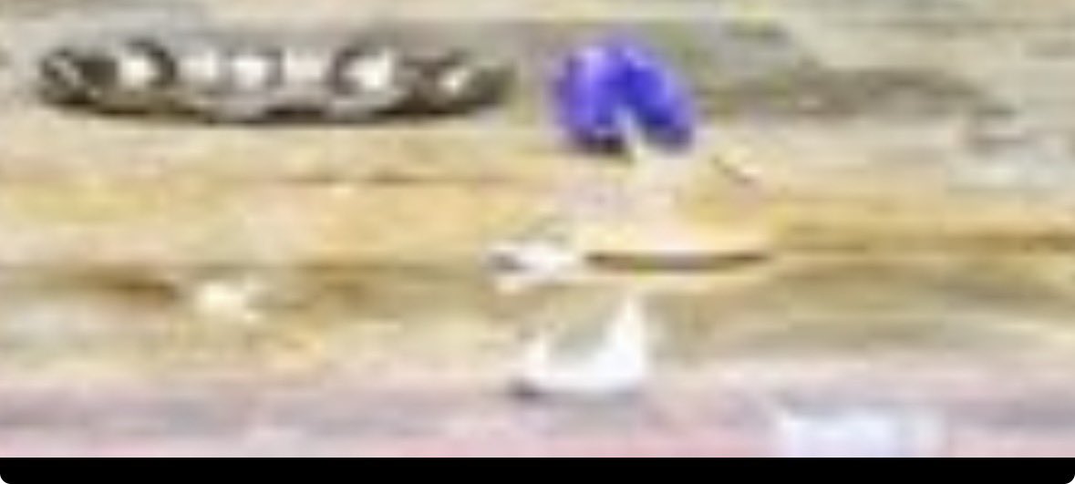 👩🏻‍⚕️ tweet media