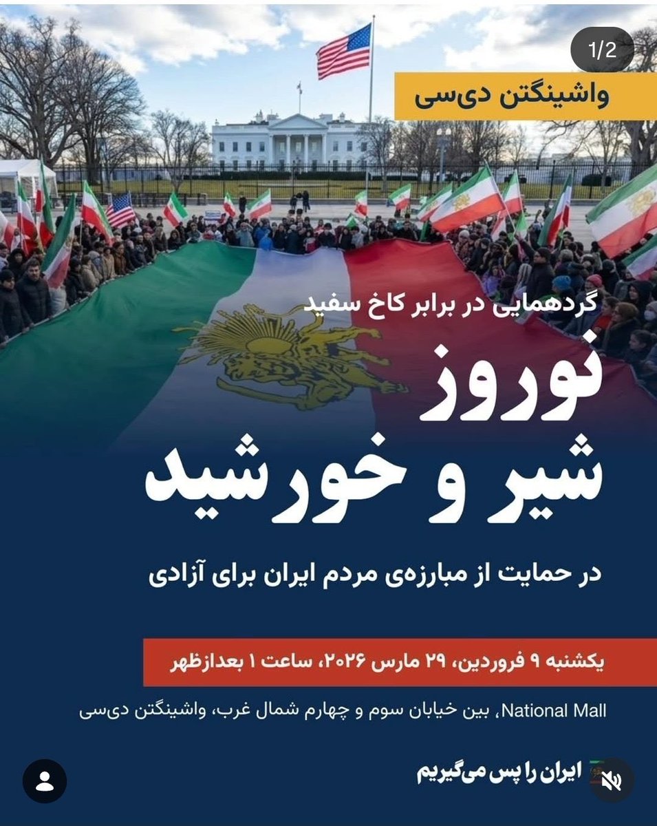 نیلوفر آبی🪷 tweet media