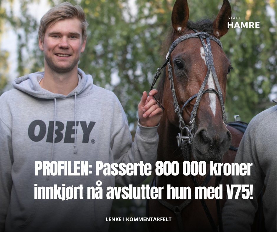 Stall Hamre tweet media