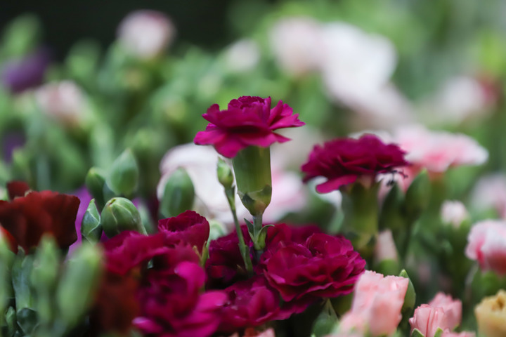 Oliver Liu 中国记者在非洲 tweet media