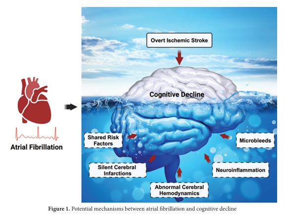 Brain & Heart - ASP tweet media