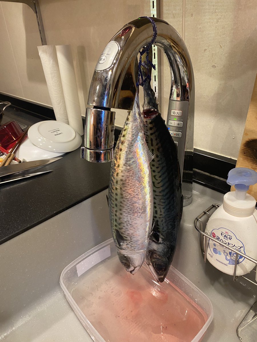 室戸 第三十八須美丸(遊漁船) tweet media