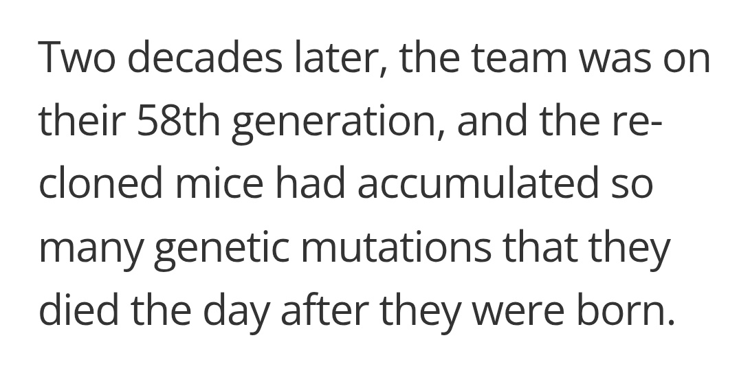 ❂ katzendiosa ❂ tweet media