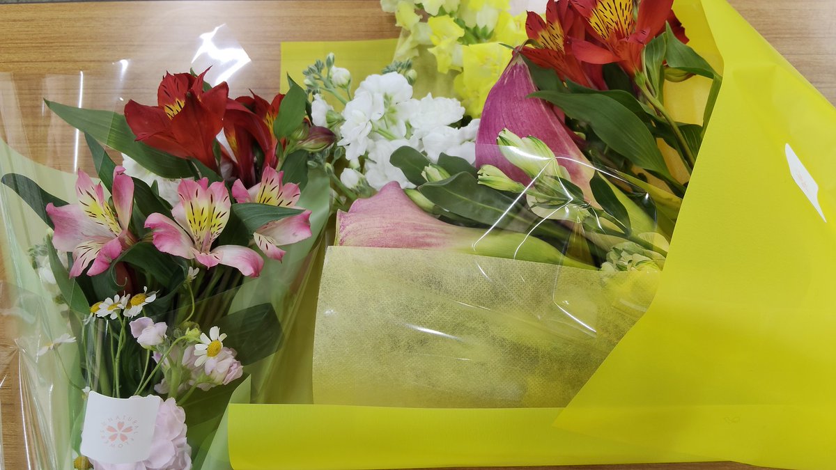 けい📚小説紹介する司書 tweet media