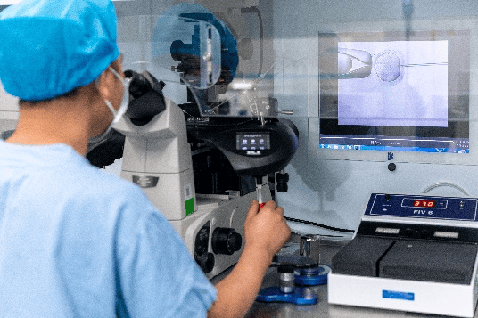 Alice Donne tweet media