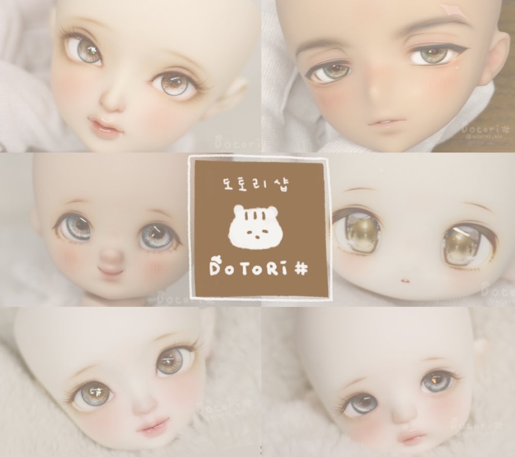 도토리샵 tweet media