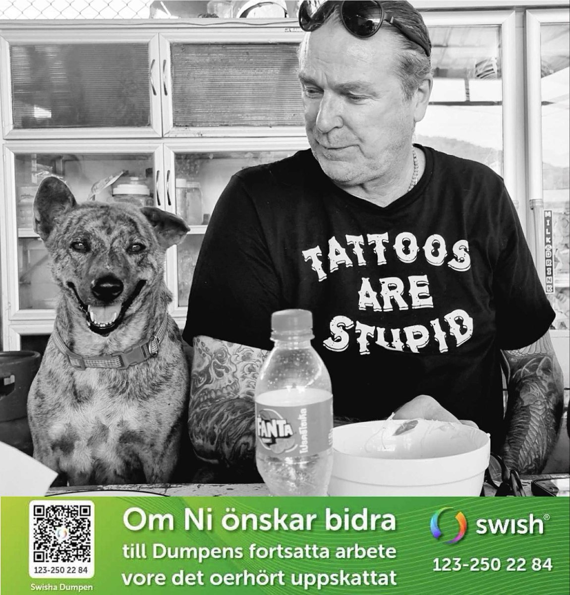 Patrik Sjöberg tweet media