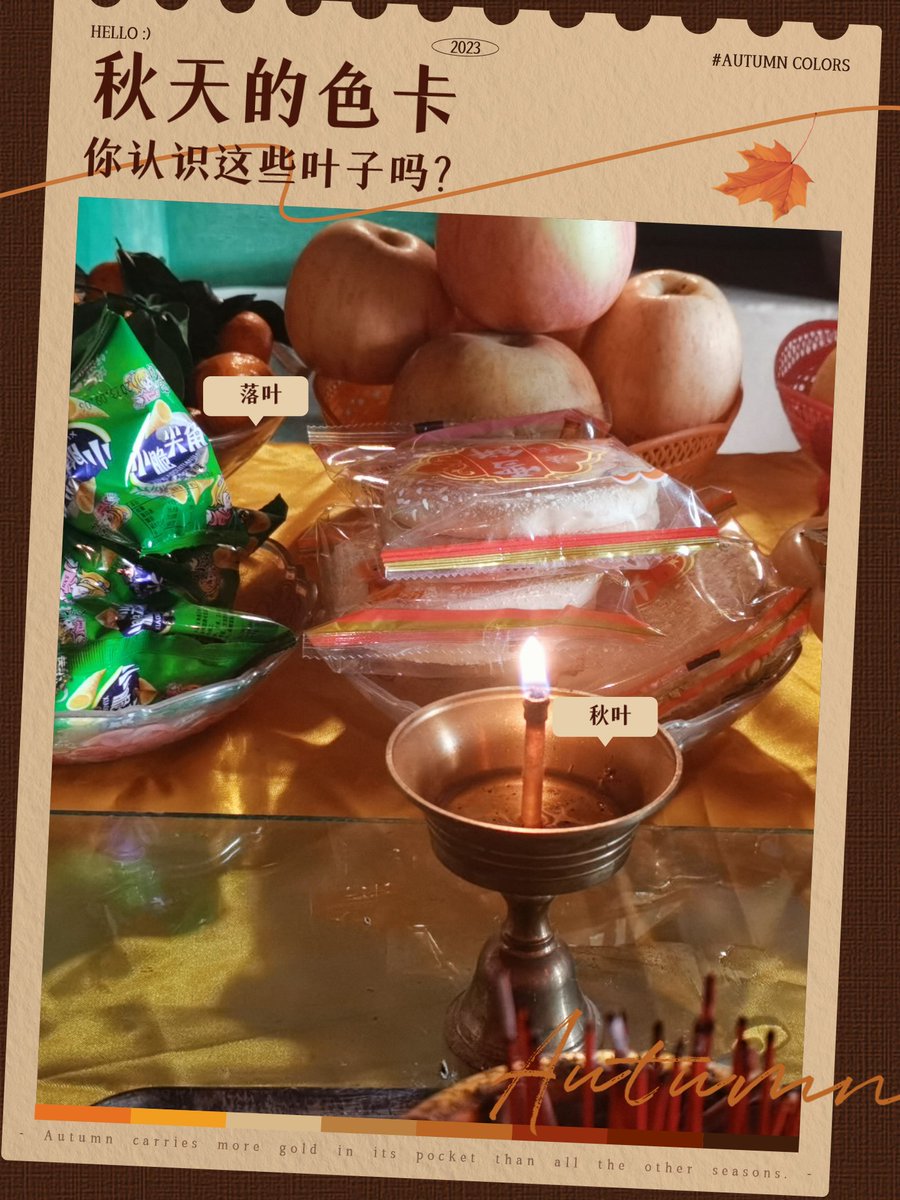 Justin Stiner tweet media