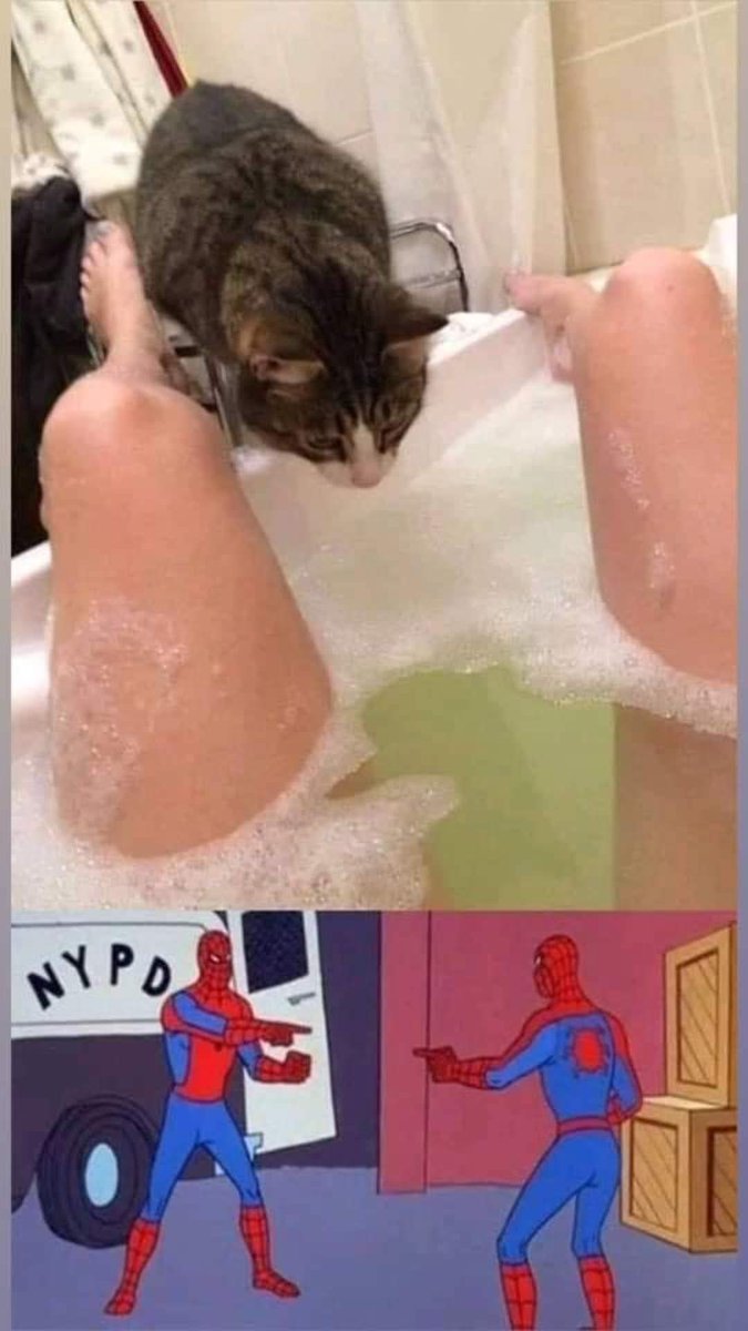 HearMeOut tweet media