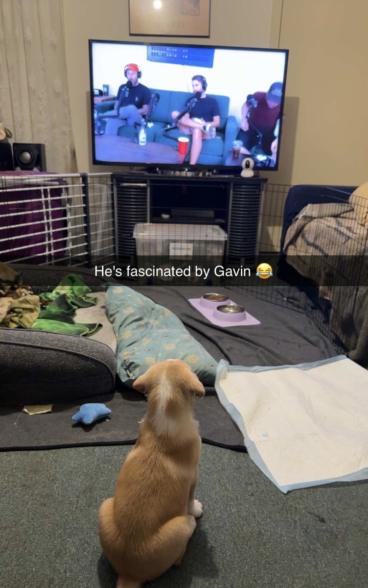 Adam Jacobs tweet media