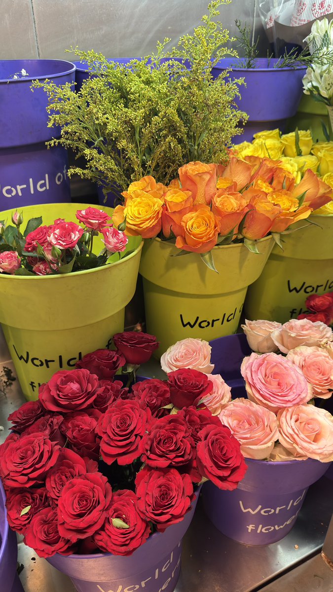 قـيس بن حسـين 🇴🇲 tweet media