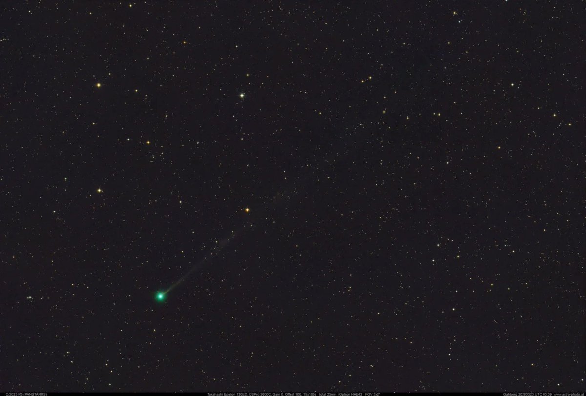 Burkhard Leitner tweet media