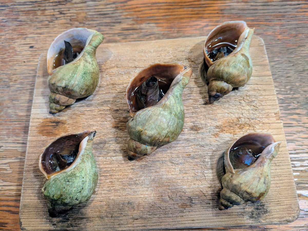 スペシャルウィーク　北海道総大将 tweet media