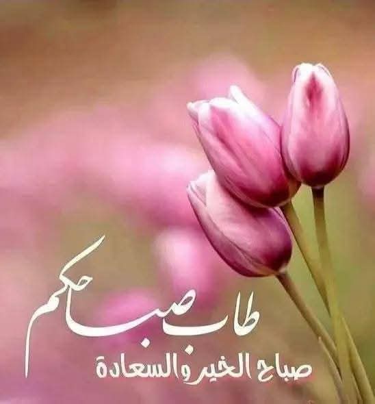 Saeed...Hassouna tweet media