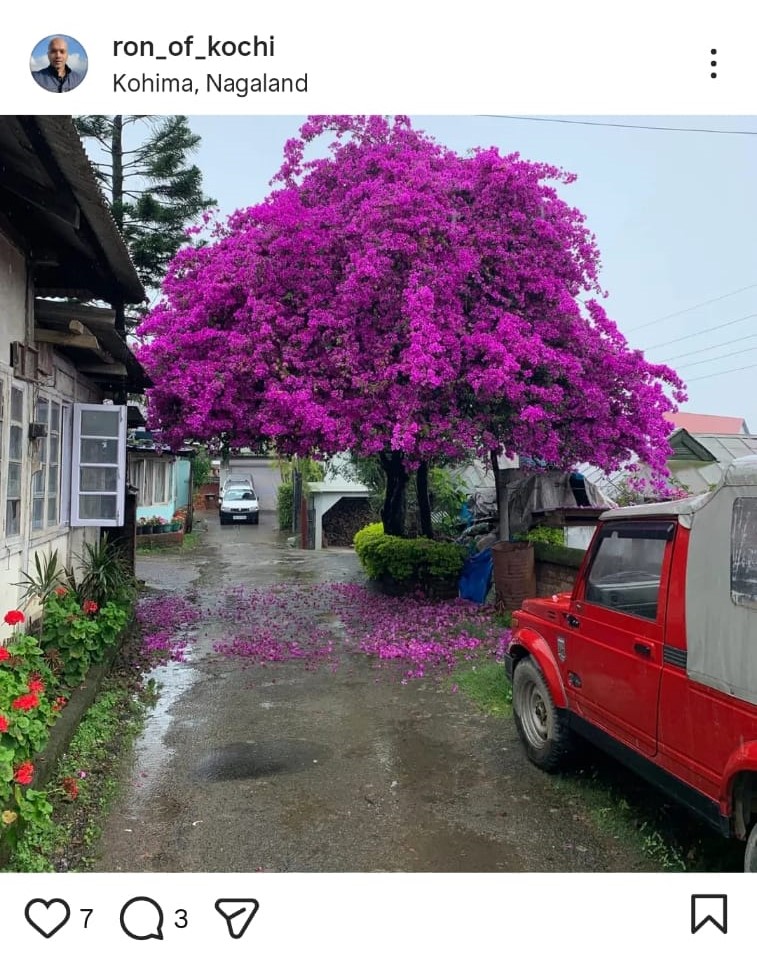 Ron of Kochi tweet media