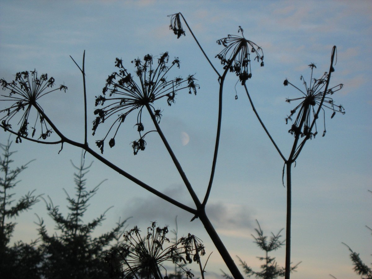 The Folklore of Warwickshire tweet media