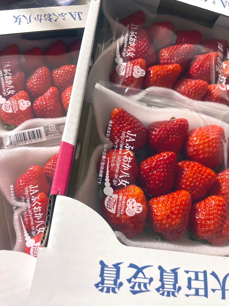 せるみん tweet media