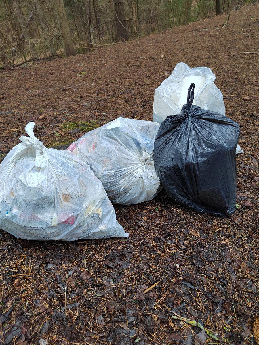 Maija Isokorpi tweet media