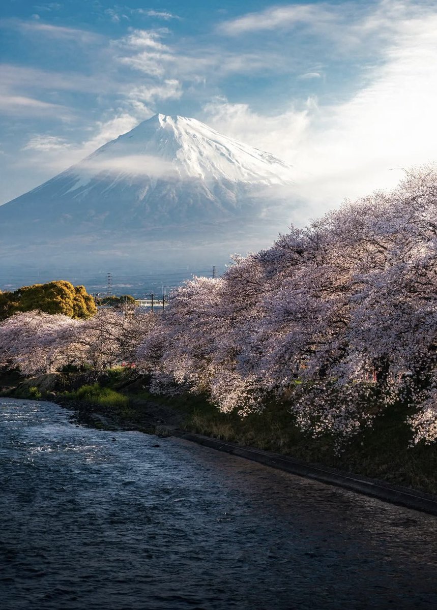 voshans's tweet image. Ochtendstemming…

(Foto Shota Photography)

#Yamanashi #Fuji #Japan

#fotografie #photography #sunrise
#travel #travelphotography #sakura
#landscape #landscapephotography
#natuur #nature #naturephotography 
#lente #spring #bloesem #blossom  
#cherryblossom #kersenbloesem