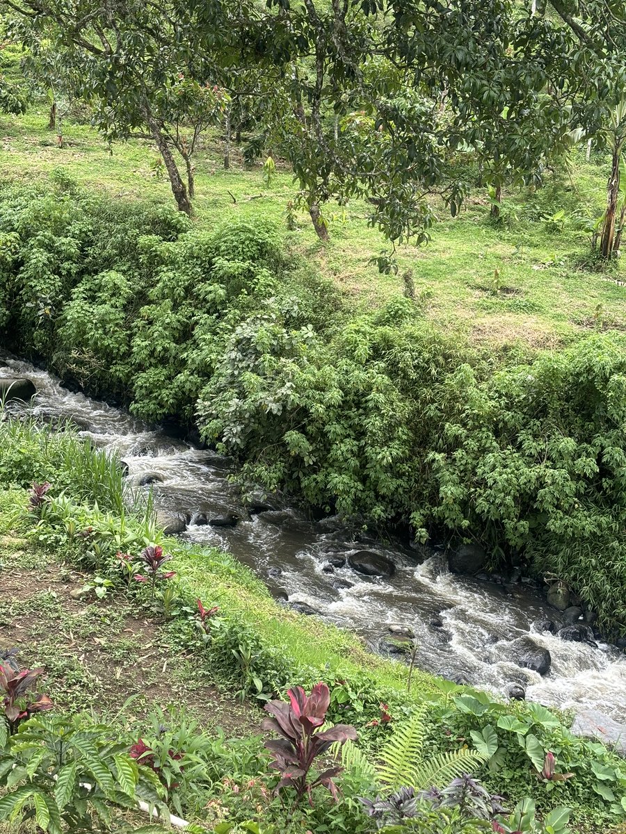 🐻🐻 tweet media