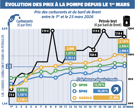 Sophie Wauquier tweet media