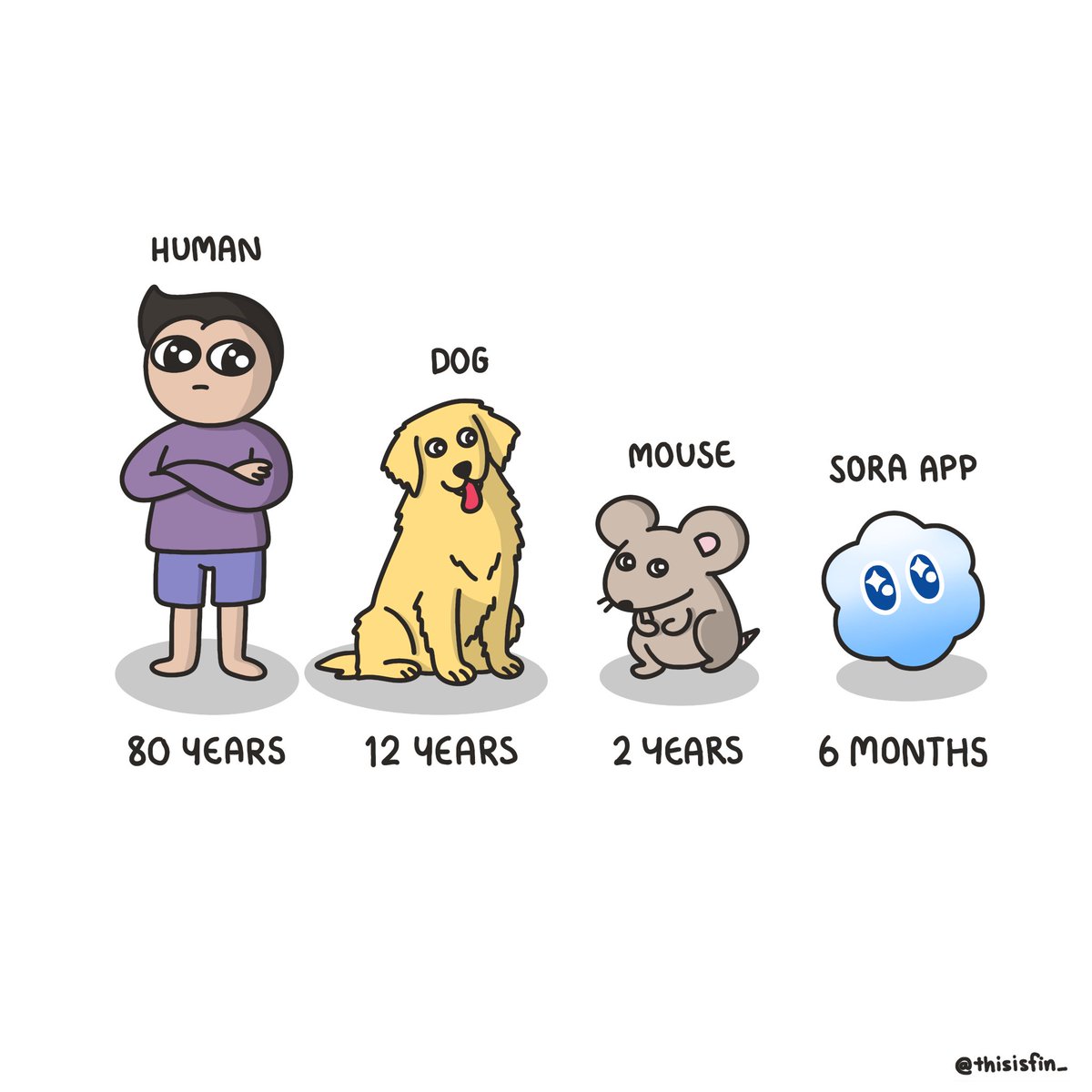 This is Fin tweet media