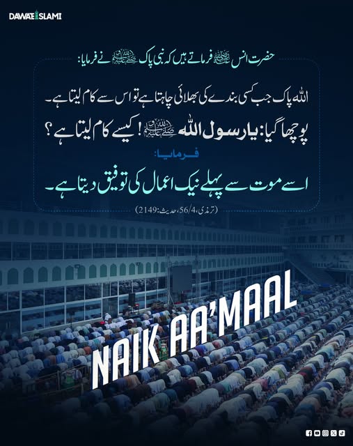 Dawat-e-Islami tweet media