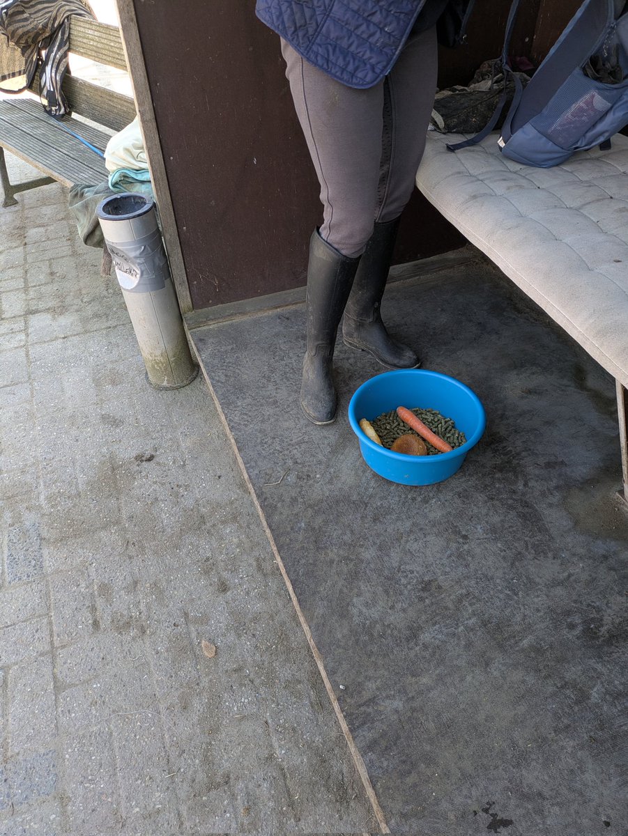 Herrin_Sandra77 tweet media