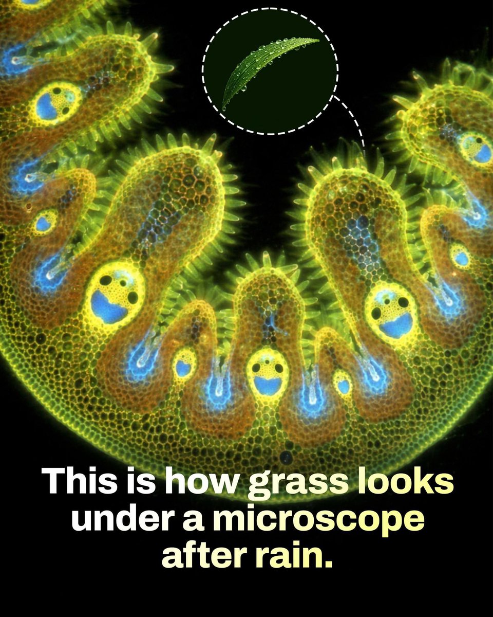 Shining Science tweet media