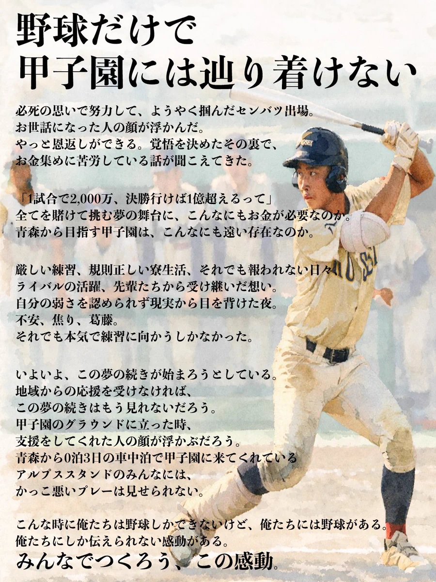 野球 【特価】八戸学院光星 2000年代のVジャン