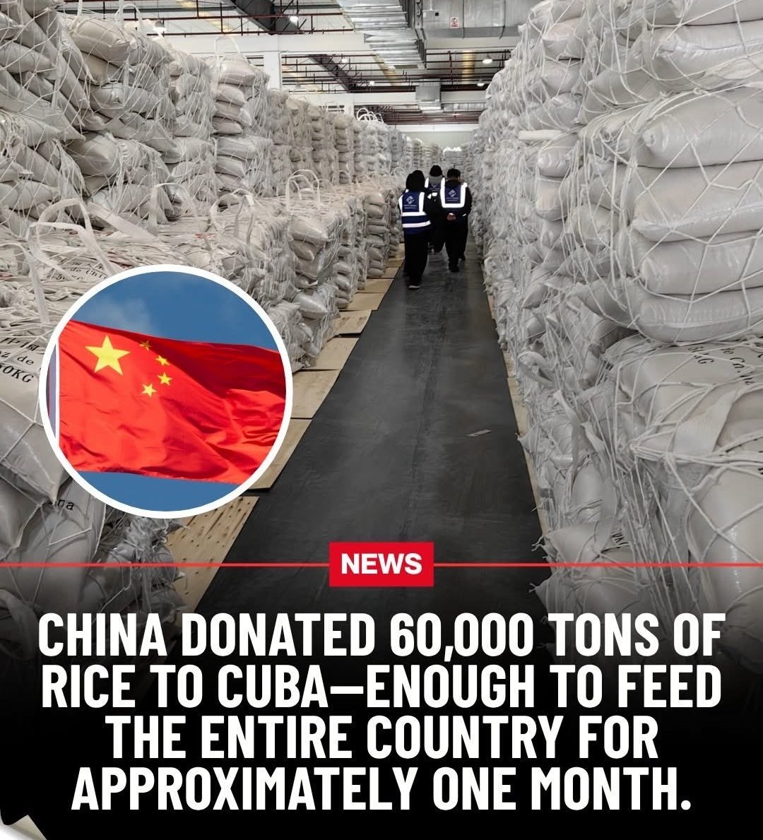 New Direction AFRICA tweet media