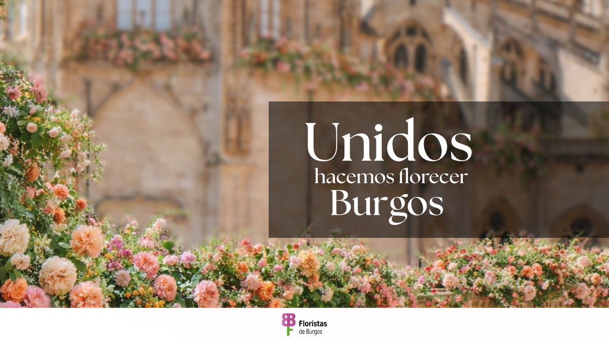 Fiesta de las Flores tweet media