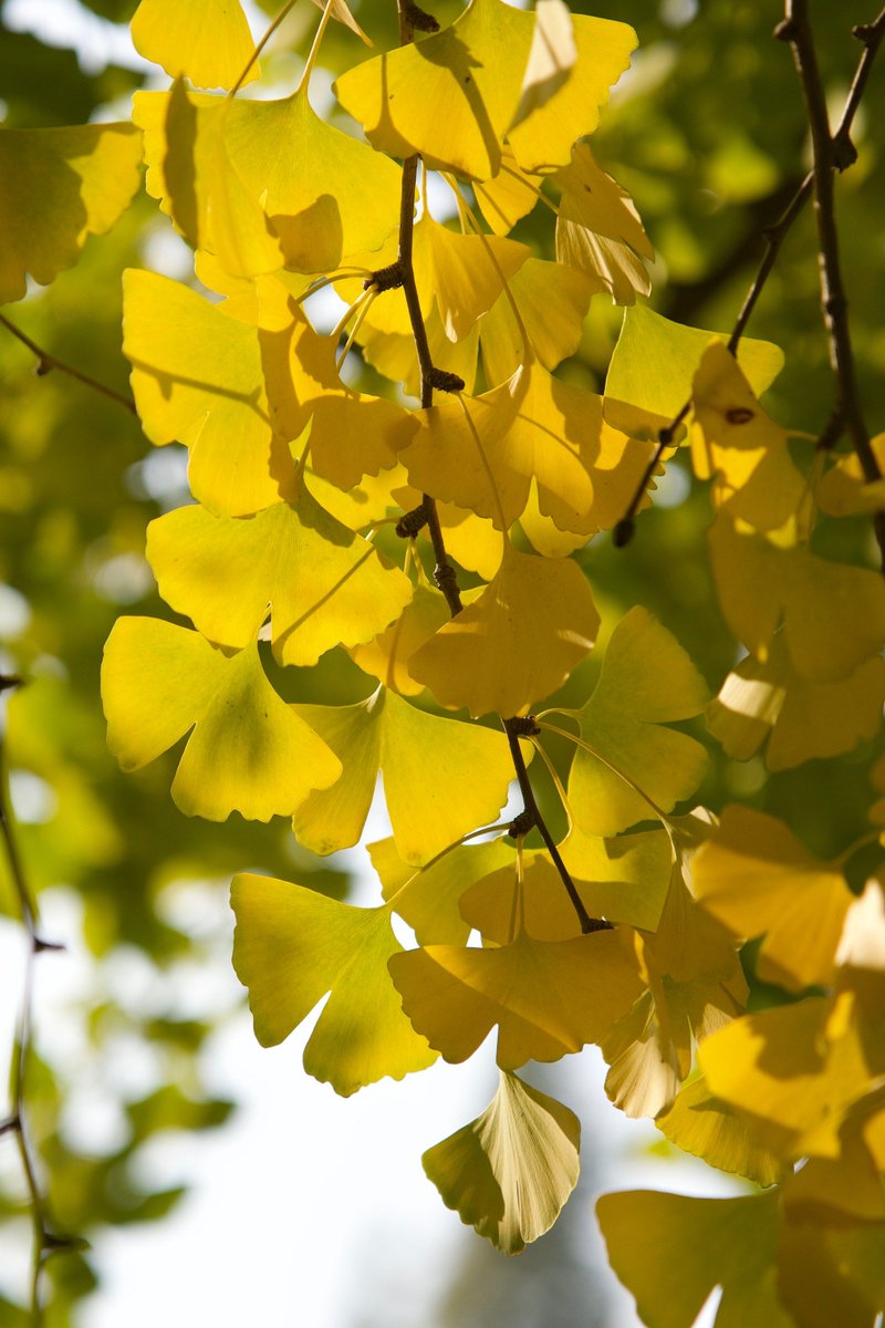 Mayra Sabalza tweet media