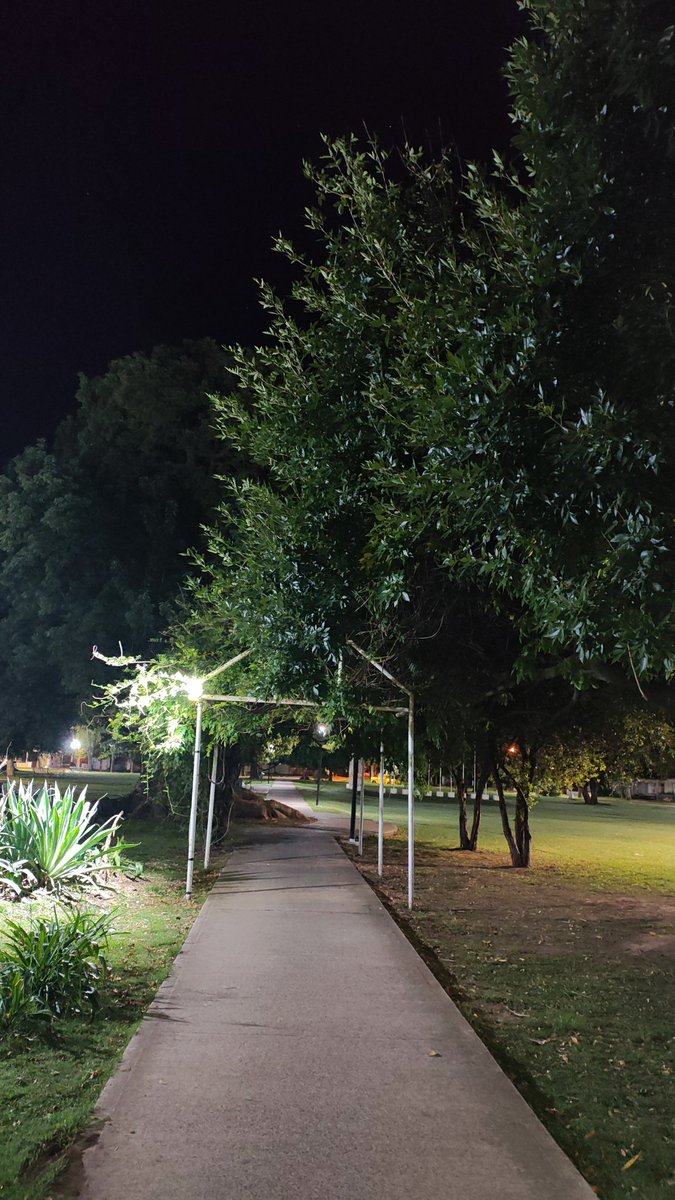 Adriana Bassi tweet media