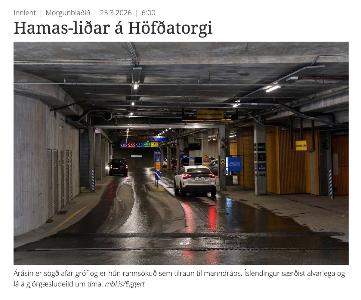 Anima 🇮🇸 tweet media