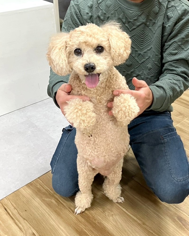 くすもっちぃ tweet media