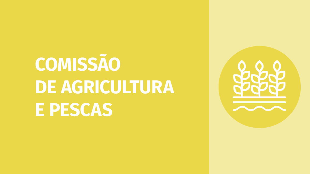 Assembleia da República tweet media