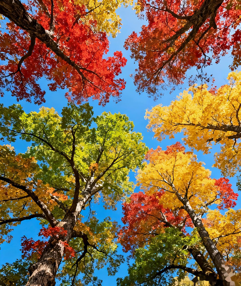 BeteBiaggi tweet media