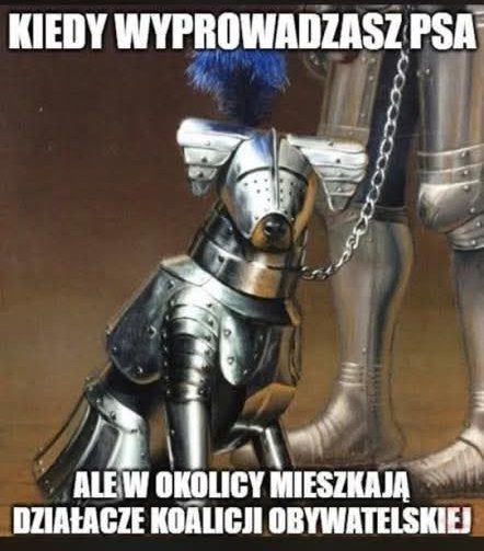 #MichalRachon #PO10 #PO11