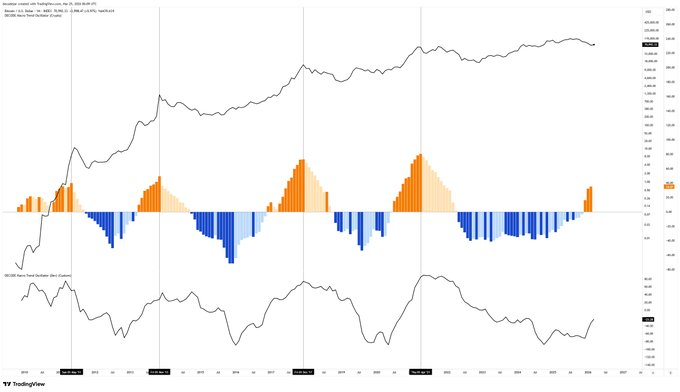 Camel Finance YT ⚡️ tweet media