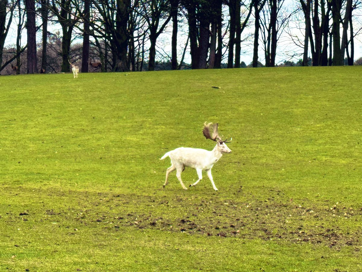 Jocaccia tweet media