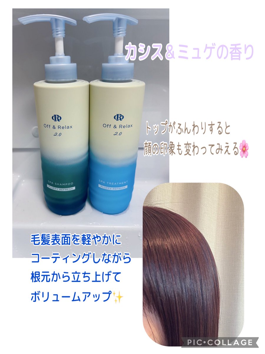 コハル🦔 tweet media